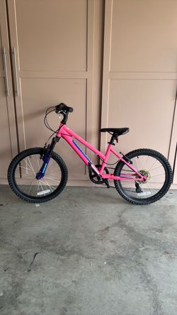 Nishiki 20"