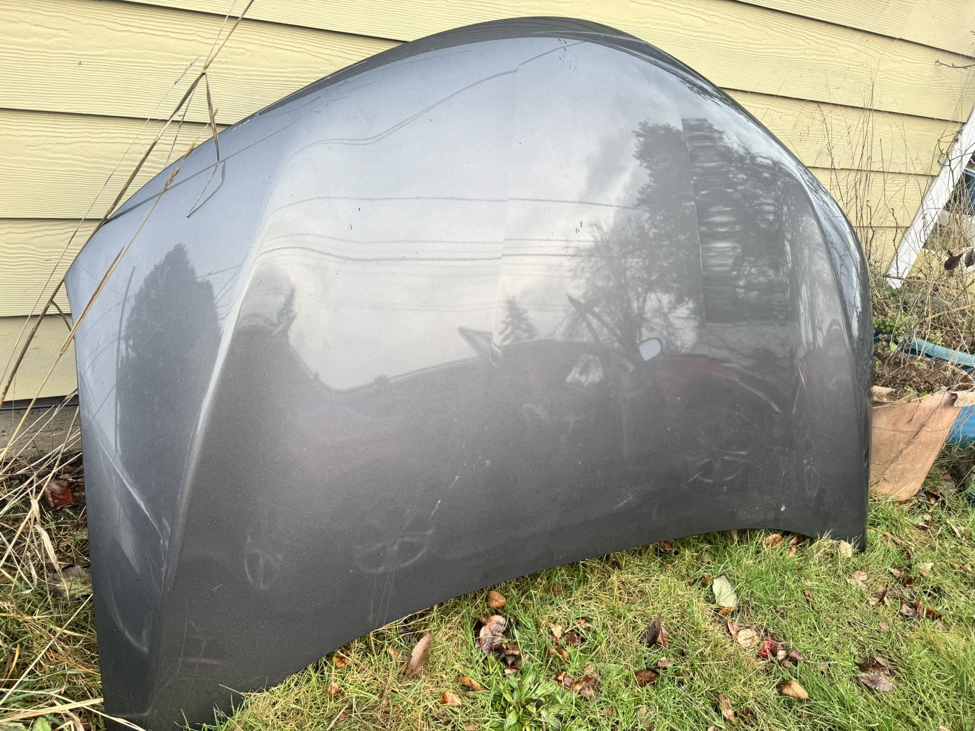 2015 Toyota RAV4 Hood And Fender