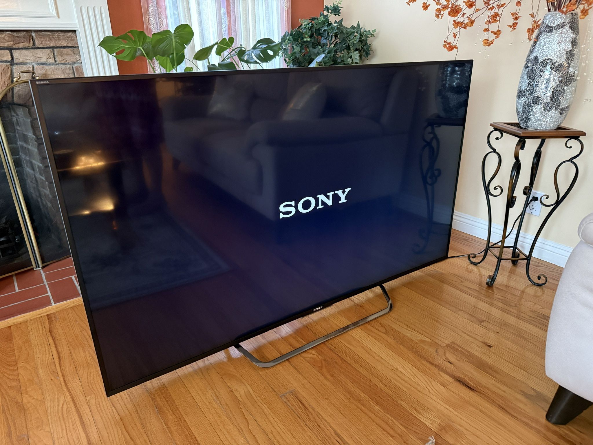 65 Inch SONY TV  - Needs Repair