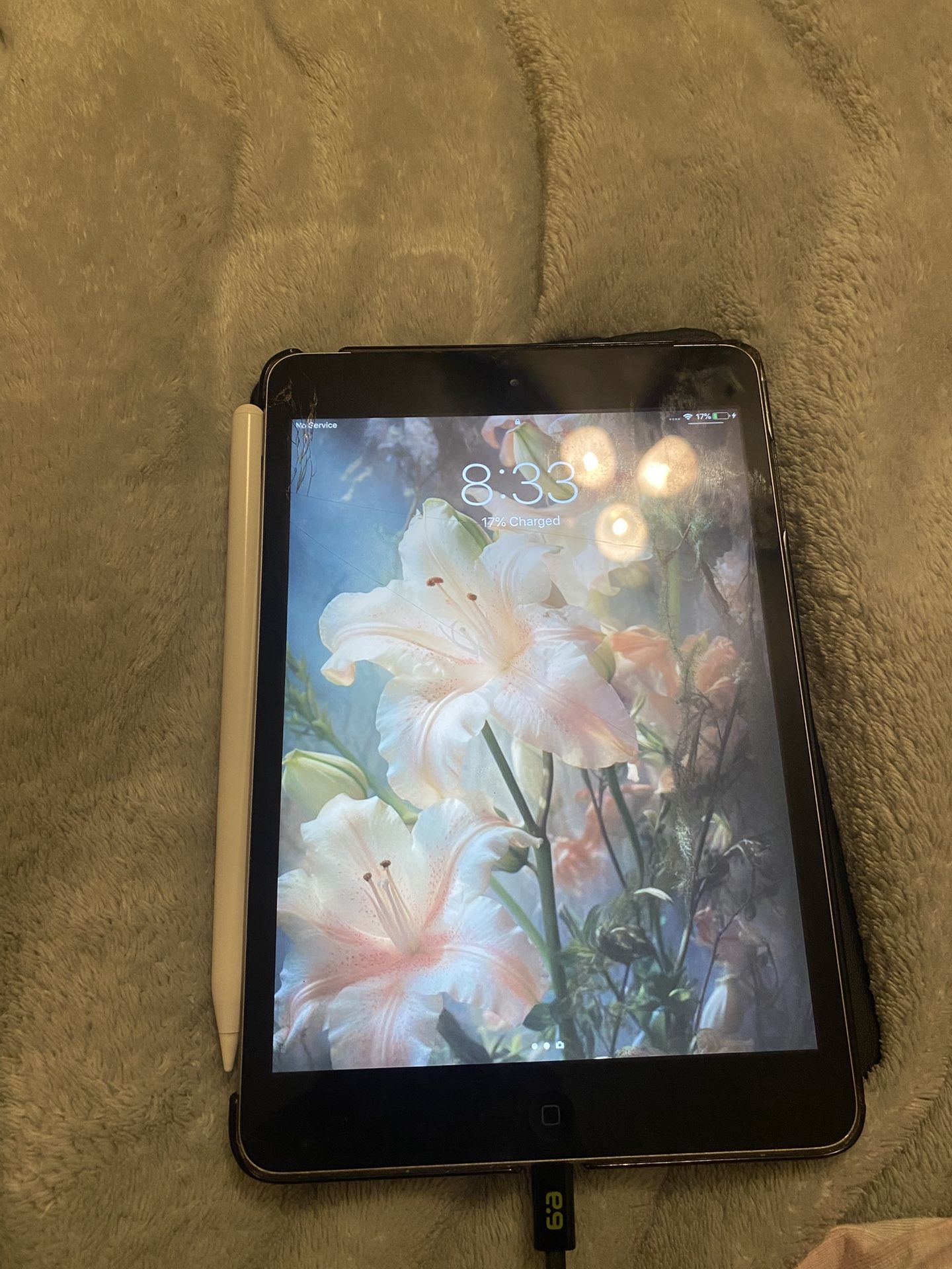 iPad Mini 2
