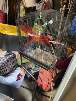 Bird cage