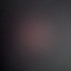 Selling pond turtles but can’t post pictures