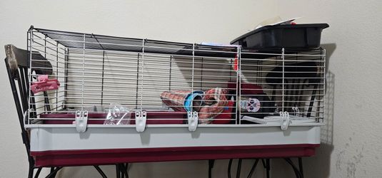 Extra large cage for Guines pig or rabbit