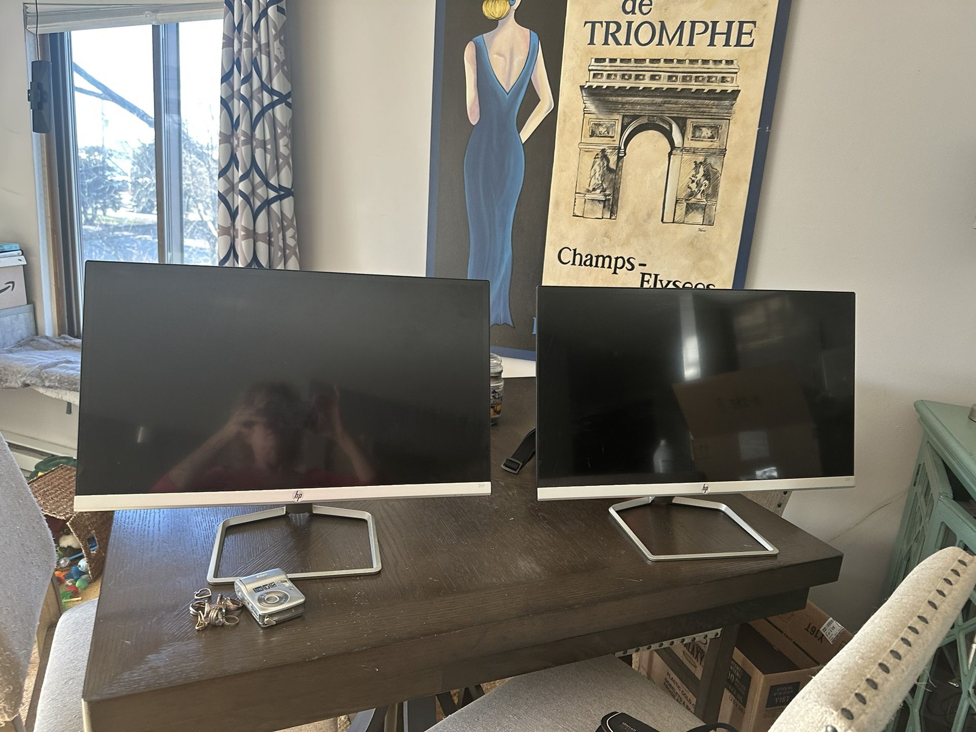 HP 25f Monitors LED 25” Wide