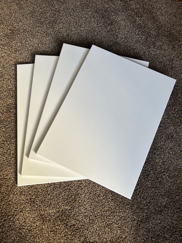 Canvases for Painting (x4)