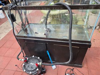 75 gallon fish tank