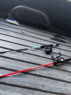 Bait caster real