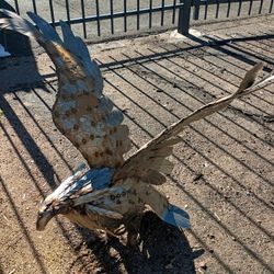 New "Metal Eagle Sculptures"
Indoor / Outdoor 
2 sizes 2 prices  

