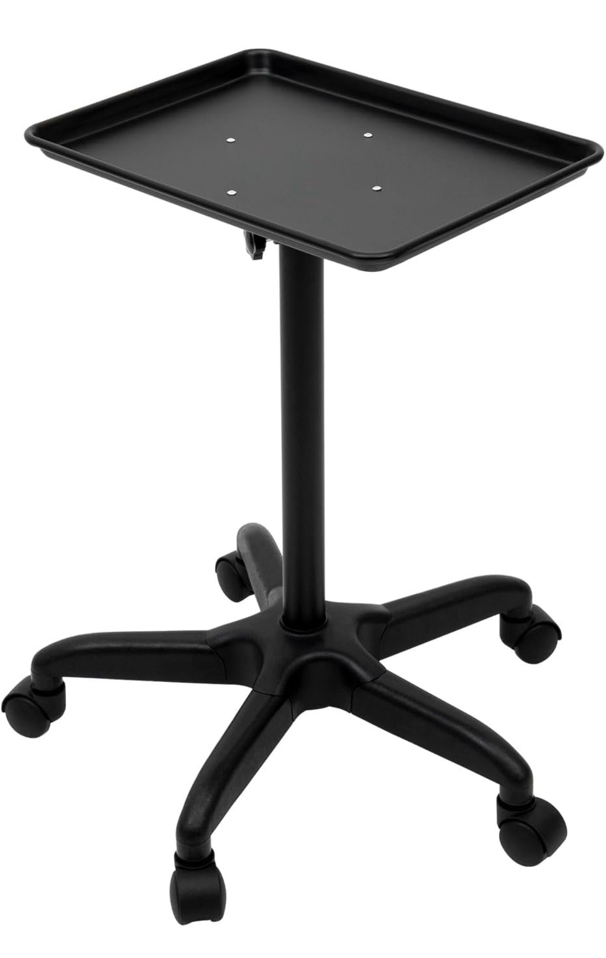 $25 Salon Tray New