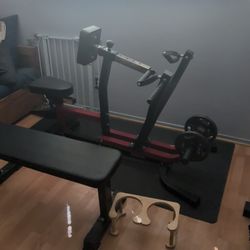 Seated Row Machine And Olympic Weights 