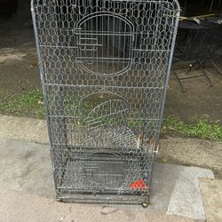 Bird Cage