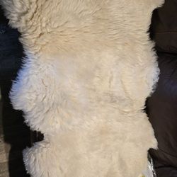 Lamb Skin. Australia