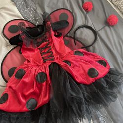 Halloween Costume 🎃 Ladybug 🐞 Size 4/5 