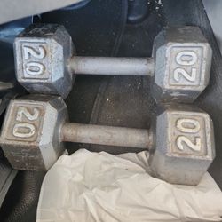 20 Dumbell