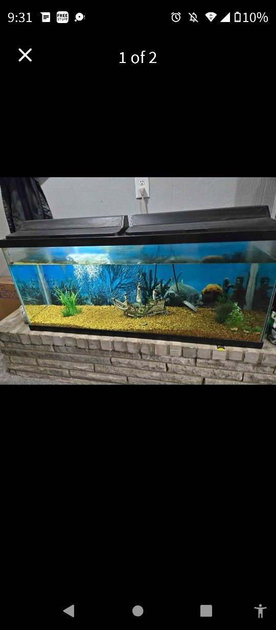 Fish Tank