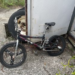 GT Bmx