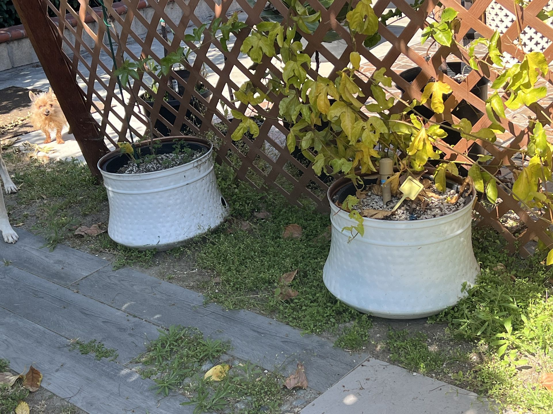 Garden Hose Storage Or Plant Pot Metal White 