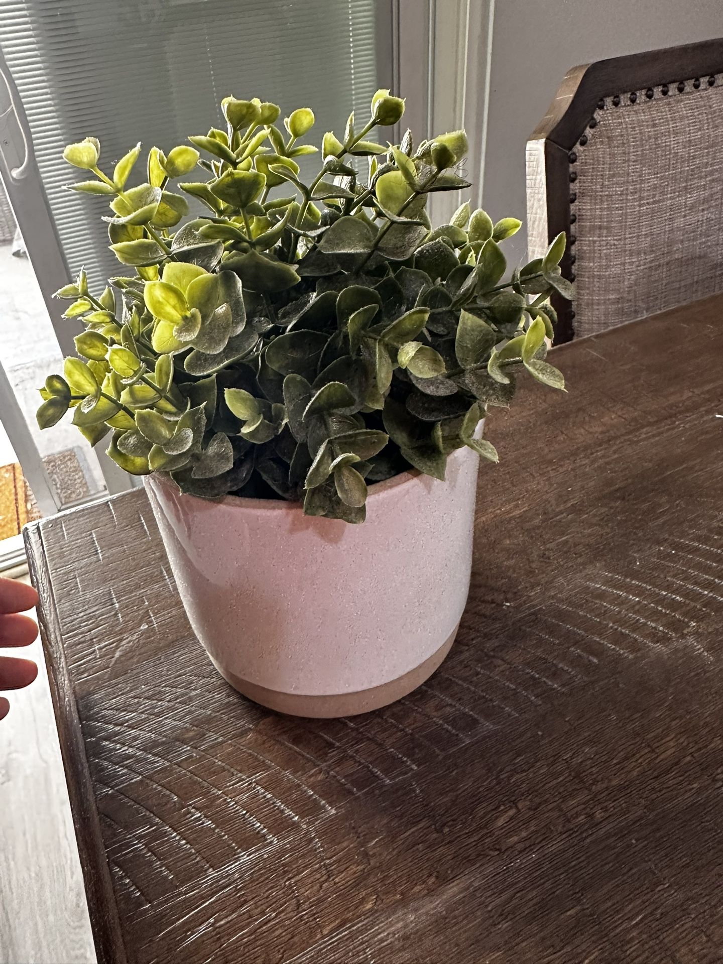 Faux Plant 