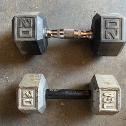 20 Lbs. Dumbells 