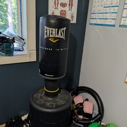 Floor Punching Bag