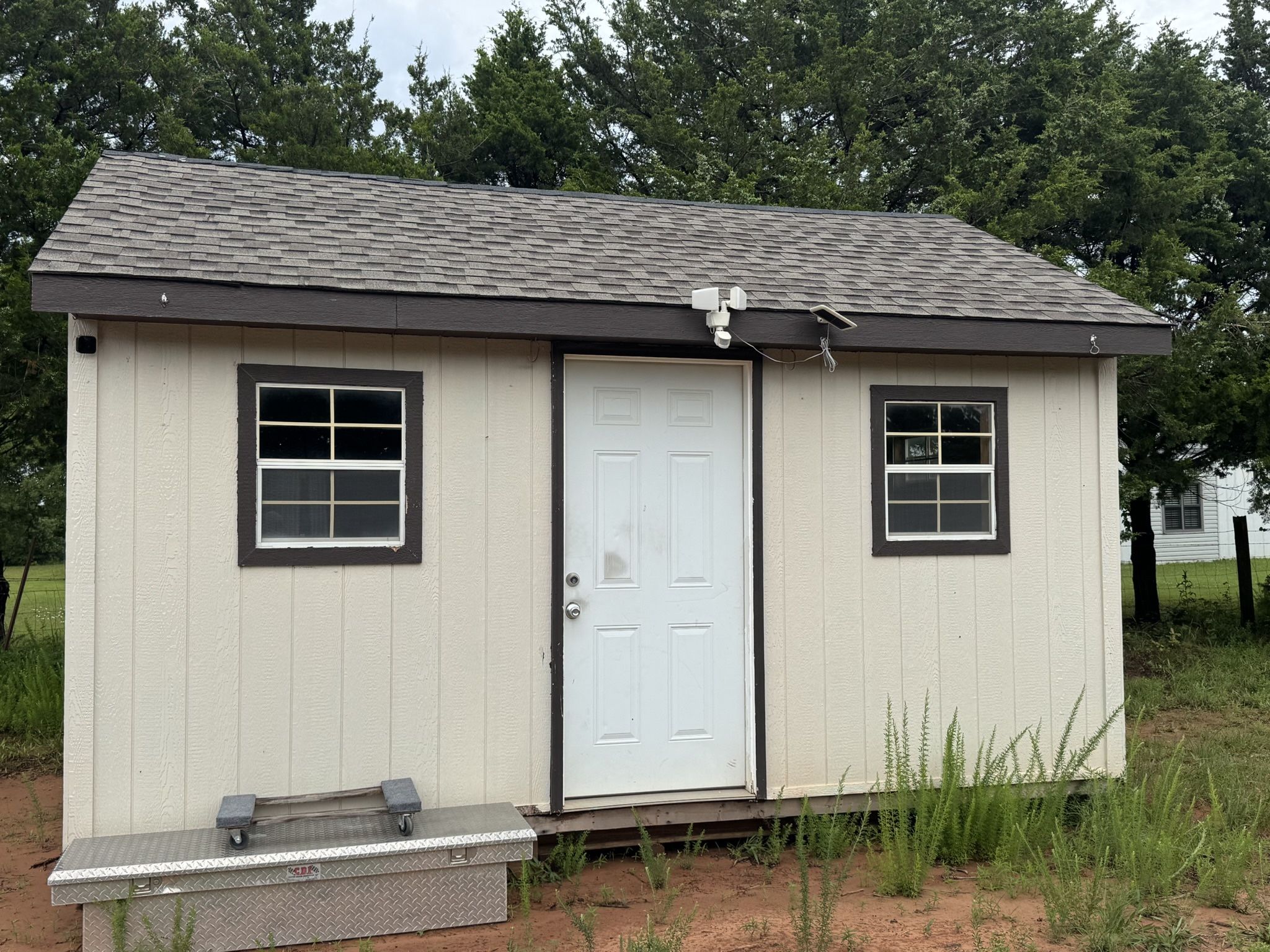 S H E D - Great Conditions 