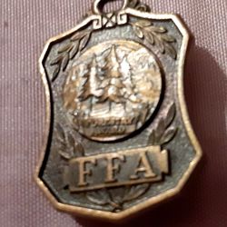 Vintage FFA pins