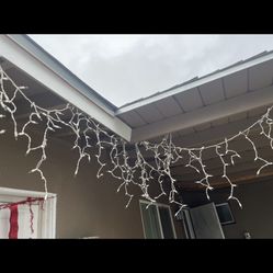 Christmas Lights