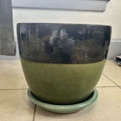 Flower Pot 