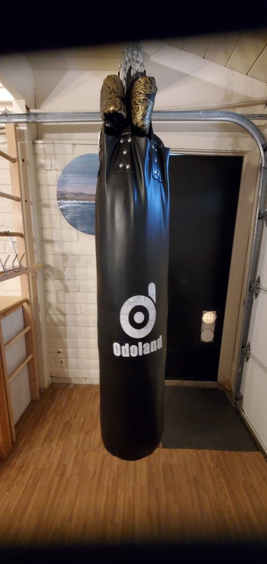 Punching Bag