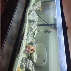 55 Gallon Fish Tank Fish Heater Filter Rocks Gravel