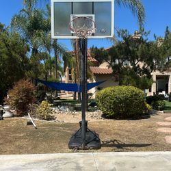 Free Standing Basketball Hoop
