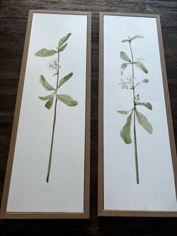 Botanical Floral Wall Art Prints Set of 2