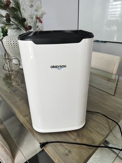 Okaysou Air Purifier