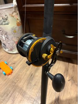 Penn Squall 50LW
