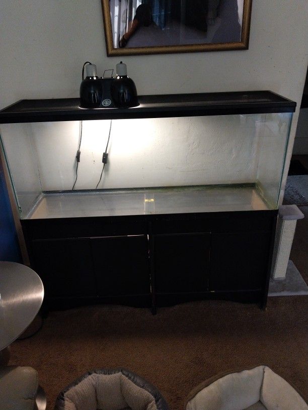 Fish Tank