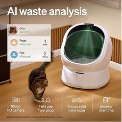 Automatic Litter Box