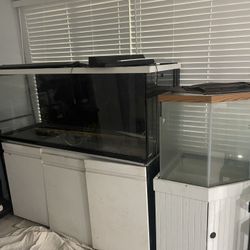 Fish Tanks, 20 Gallones Up To 150!! Must Go!! 