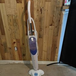 H2O Steam Mop