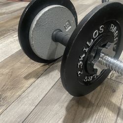 25 Lbs Dumbbell