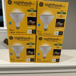 Nighthawk LED floodlight 