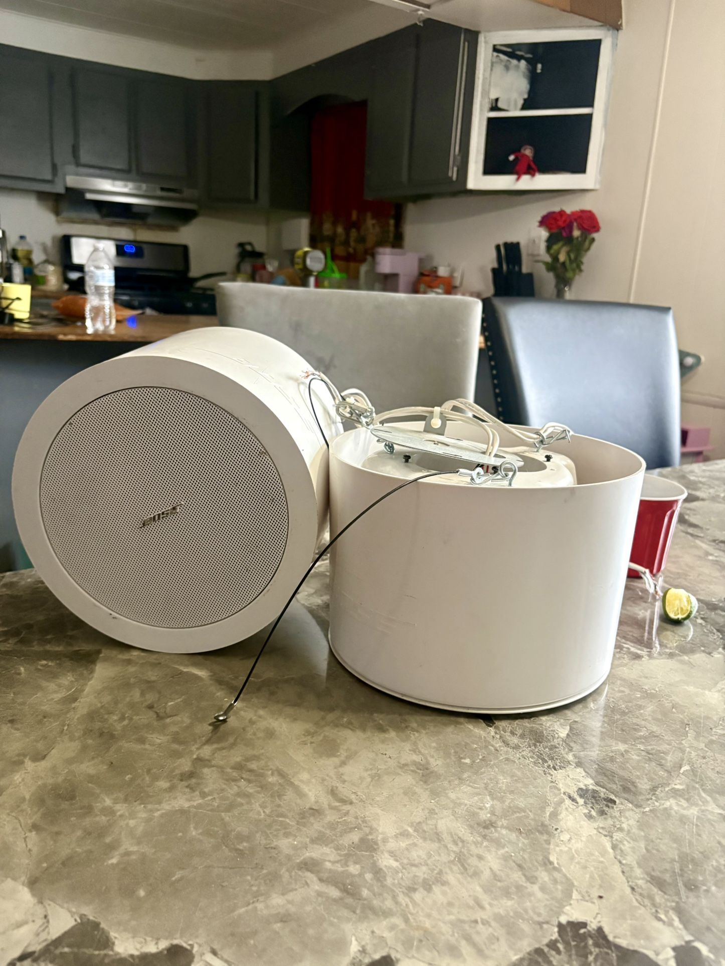Bose