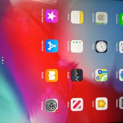 iPad