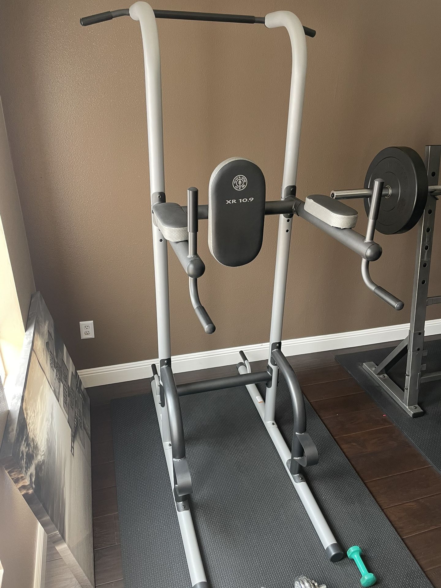 Gold s Gym XR 10.9 Power Tower for Sale in Chino Hills CA OfferUp