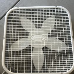 Fan
