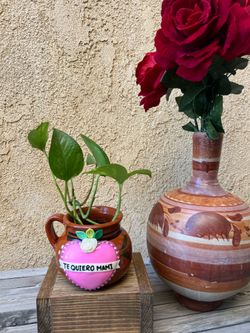 Disponible !  “Te Quiero Mami” Planta en Jarrito Regalito para mamá $27