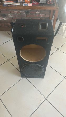 10’ Subwoofer Speaker 