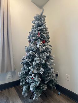Christmas tree, around 6ft 2in tall.