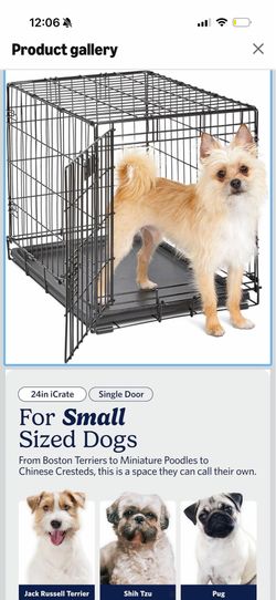 black dog crate