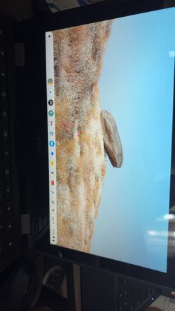 Accer Chromebook