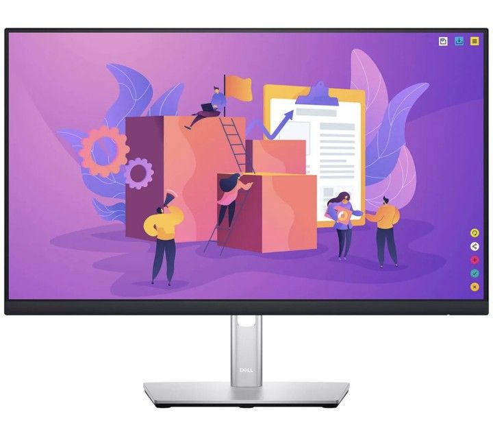 Dell 24 Monitor - P2422H (BRAND NEW)